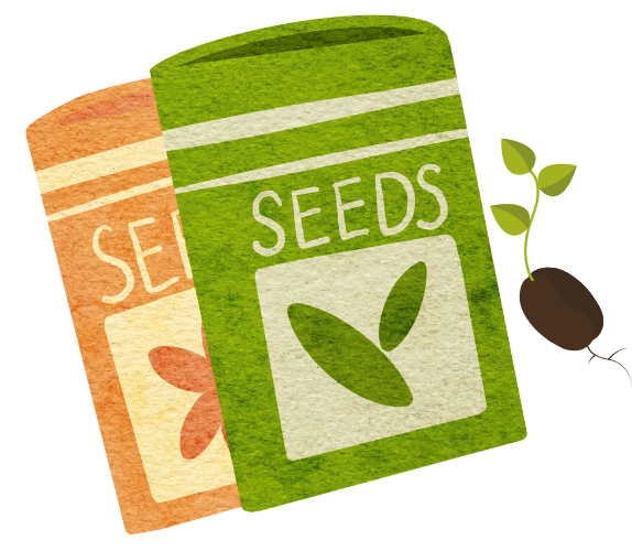 KAYSERI%20AGRO%20DIS%20TIC.%20LTD.%20STI